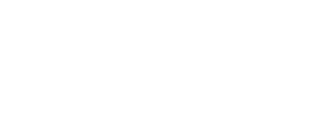 F Pandini Empreendimentos